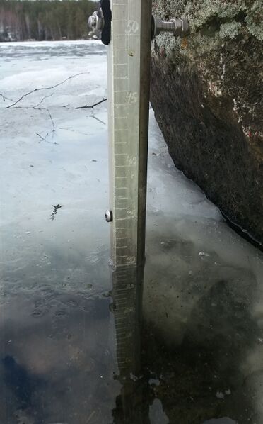 Tiedosto:20190224 222250.jpg