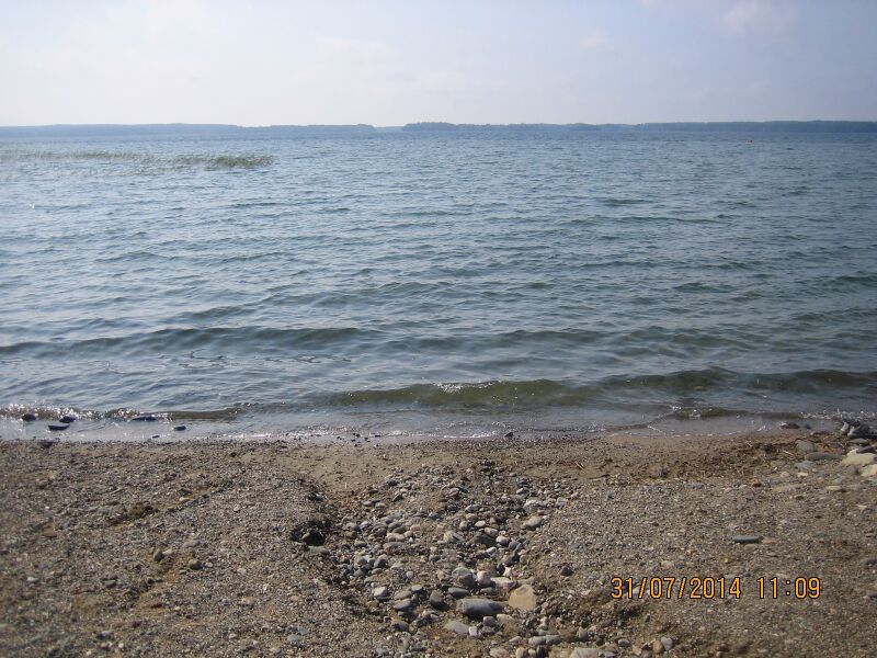 Tiedosto:Kuorinka 2.JPG