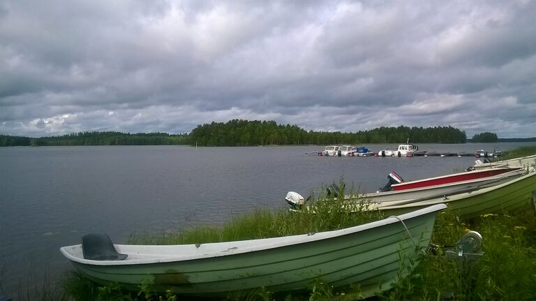 WP 20150727 10 52 34 Pro.jpg