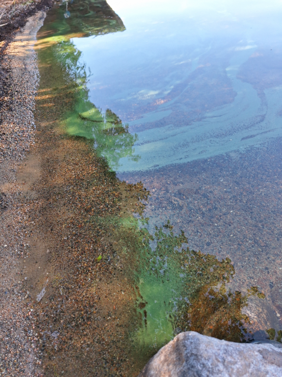 Havaintopaikka 2-ObsIMG-202507021028-1751441511403.png