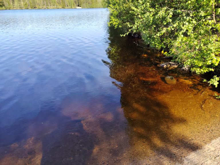 Montanlampi (59.121.1.001)-Havaintopaikka 2-ObsIMG-202506041122-6841396d9fc24.png