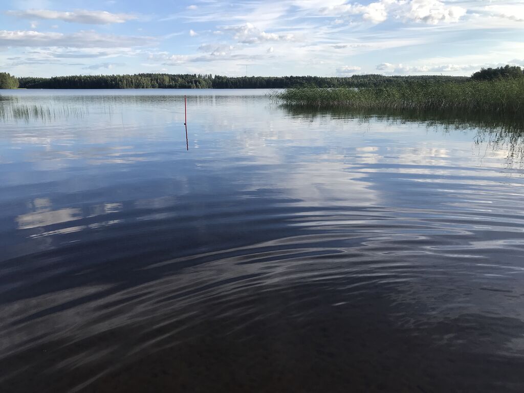 Sakaran - Punelian alue (23.053)-Terttula-ObsIMG-202008011900-43.jpg