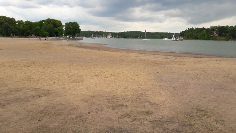 Satama ja Ruissalon salmet-Ruissalon kansanpuisto-ObsIMG-201707281442-98.jpg