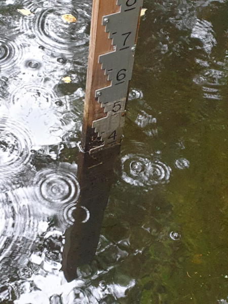 Tiedosto:Urpolanjoen valuma-alue (04.152)-Urpolan aarimaan puistoväylän silta-ObsIMG-202409131121-66e3f64a50bd0.png