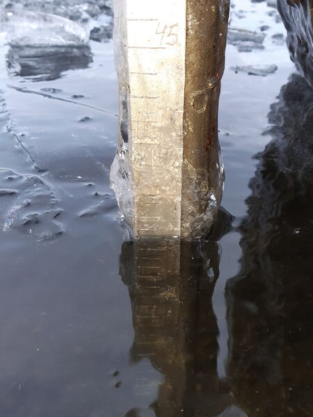 Tiedosto:20191201 115112.jpg