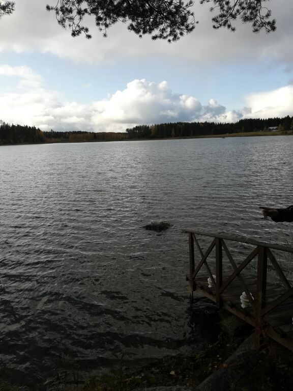 Hulkkianjärvi (11.006.1.014)-Havainnot-ObsIMG-201910051400-59.jpg