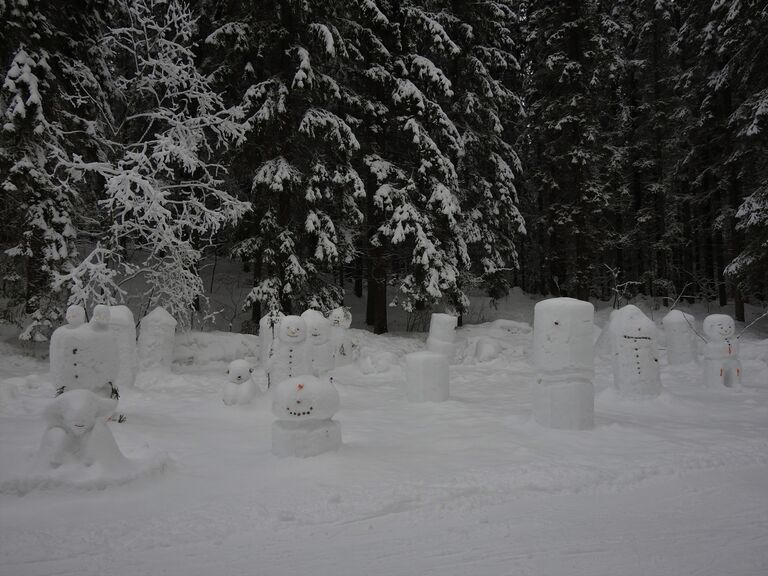 Ristiselän - Murtoselän alue (14.231)-Havaintopaikka 3-ObsSNOWMAN-201801301320-30.jpg