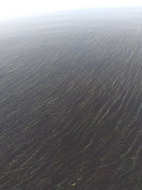 Vuokkijärvi (59.621.1.001)-Havaintopaikka 2-ObsIMG-202107042003-60e1ea447fb2b.png