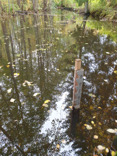 Urpolanjoen valuma-alue (04.152)-Urpolan aarimaan puistoväylän silta-ObsIMG-202510100954-1760079307656.png