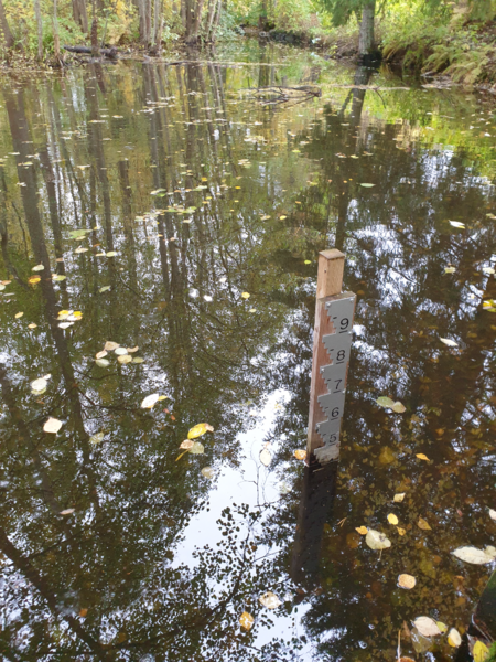 Tiedosto:Urpolanjoen valuma-alue (04.152)-Urpolan aarimaan puistoväylän silta-ObsIMG-202510100954-1760079307656.png