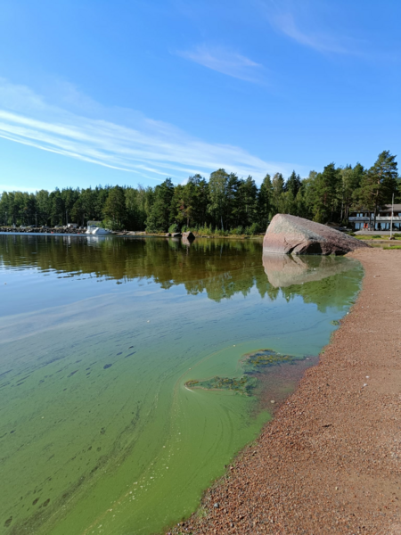 Tiedosto:Kotkan edustan sisäsaaristo-Valtakunnallinen sinileväseuranta (Suomenlahti, Santalahti, uimaranta)-ObsIMG-202509021200-1756813486690.png