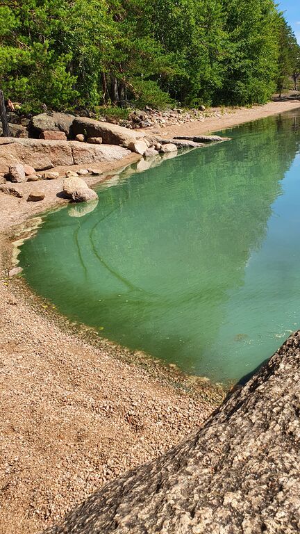 Lappalanjärvi (14.181.1.001)-Hautala-ObsIMG-202007191511-49.jpg