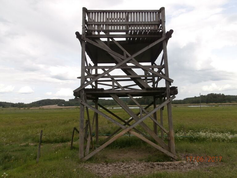 Millolan lintutorni.JPG