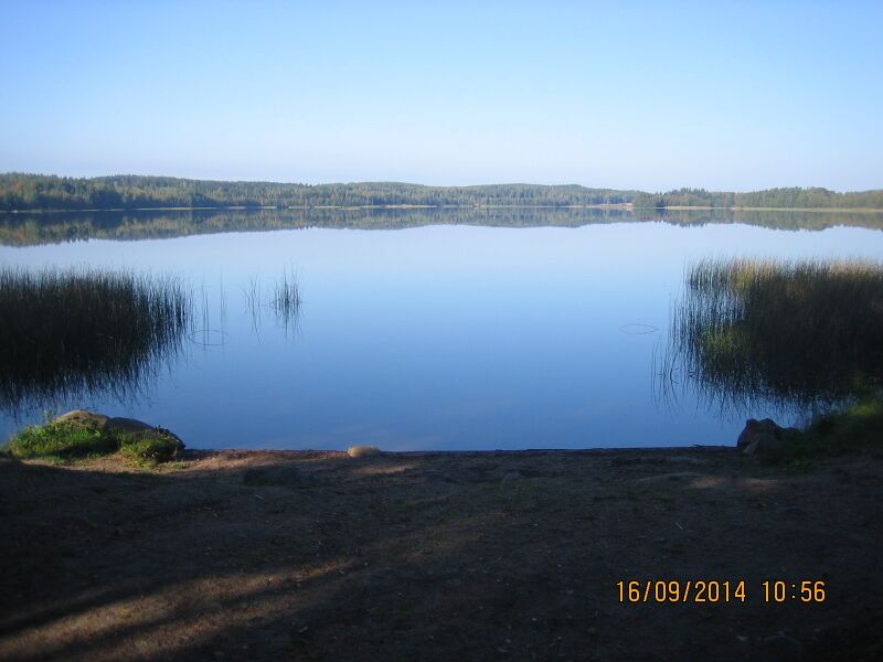 Tiedosto:Rehakka 2.JPG