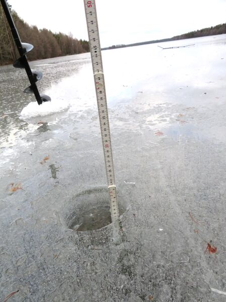 Tiedosto:Sääksjärvi (23.097.1.002)-Sääksjärvi-ObsIMG-202002231600-12.jpeg