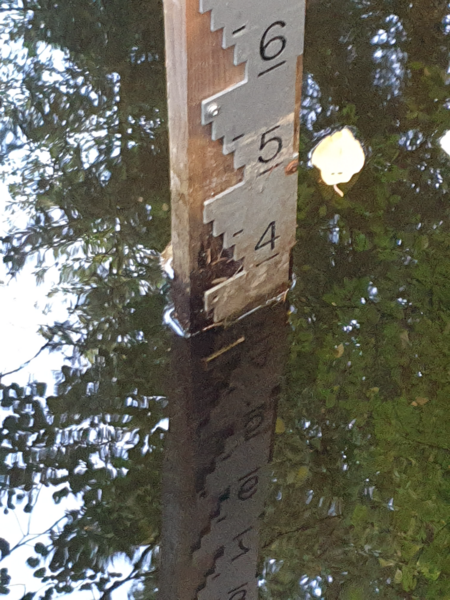 Tiedosto:Urpolanjoen valuma-alue (04.152)-Urpolan aarimaan puistoväylän silta-ObsIMG-202409121015-66e29544a6c8c.png