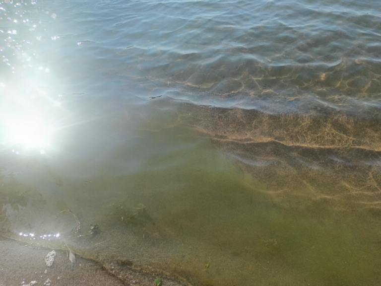 Villinki-Havaintopaikka 7-ObsALG-202507231219-6880a9a9ba26f.png