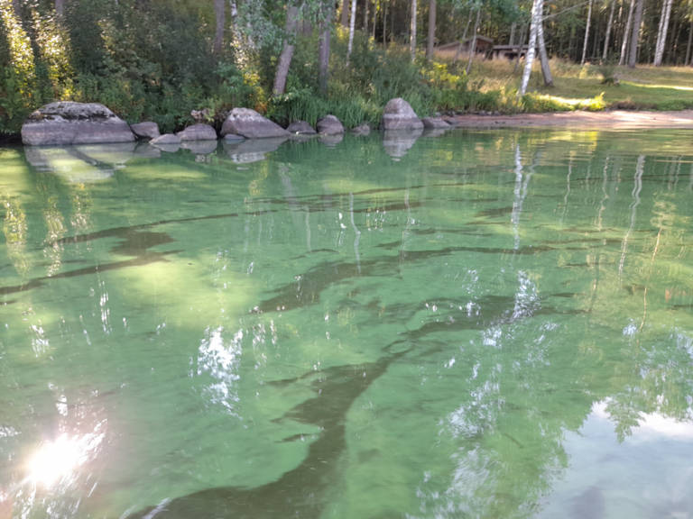 Hiidenvesi (23.031.1.001)-Rysätarha-ObsALG-202208271110-6312e20622845.png