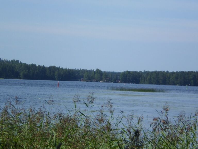 Näkymä Vihannanselälle.JPG