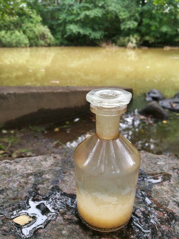 Pyhäjärven lähialue (35.211)-Tahmelan lähde 2-ObsIMG-201609020940-85.jpg