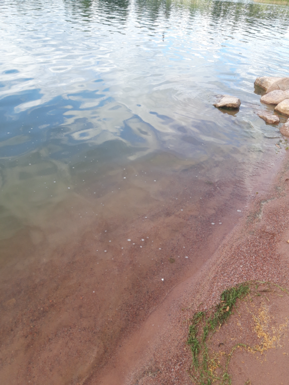 Pyhäjärvi (34.031.1.001)-Valtakunnallinen sinileväseuranta (Katismaan uimaranta)-ObsALG-202307251513-64bfbc31e8002.png