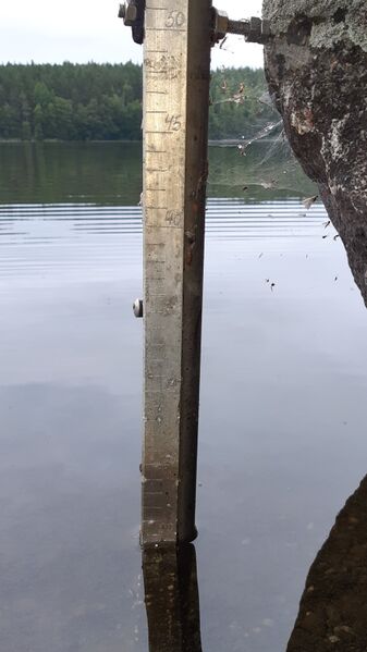 Tiedosto:20200802 231532.jpg