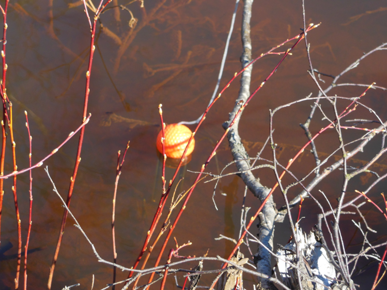 Tiedosto:DSCN5832 Lämpö Alue 4.png