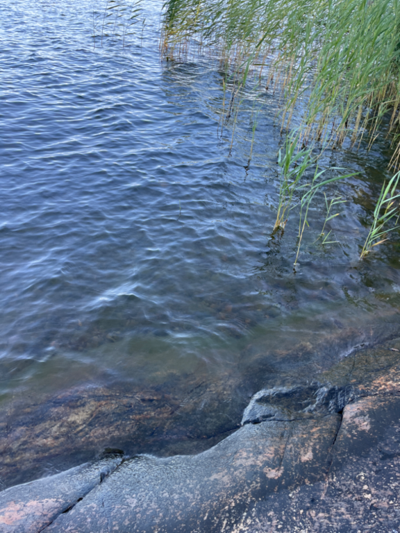 Dragsvik-Rotarien sinileväseuranta (Högholmen)-ObsIMG-202407020856-668396ea6fce7.png