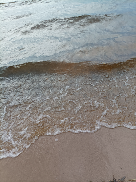 Lappajärvi (47.031.1.001)-Valtakunnallinen sinileväseuranta (Kivitippu)-ObsALG-202108101623-61127e4d69aee.png