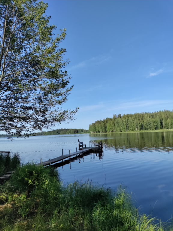 Mommilanjärvi (35.823.1.007)-Rotarien sinileväseuranta (Arponiemi)-ObsIMG-202506161605-1750079337057.png