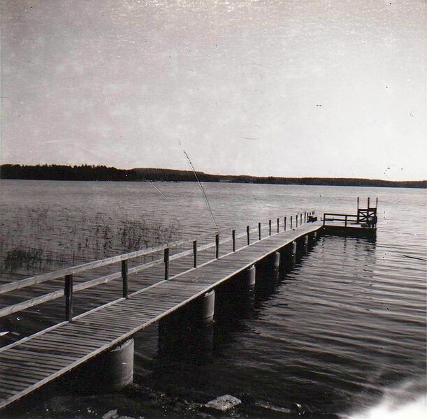 Tiedosto:Niemenharjun leirintaalueen laituri.jpg