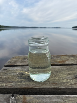 Päijänne (yhd.)-Rotarien sinileväseuranta (Honkaniemi, Kuhapolku)-ObsIMG-202506230850-1750657953730.png