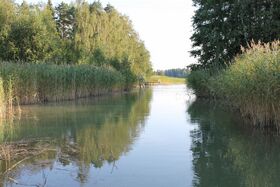 Rodh 0549 (800x533).jpg