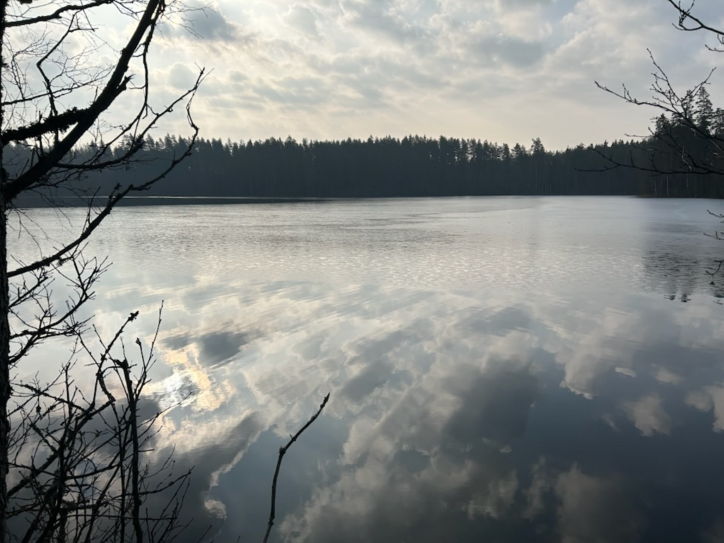 Salakkajärvi (25.007.1.010)-Salakkajärvi-ObsIMG-202503301100-67e8fb3969a82.png