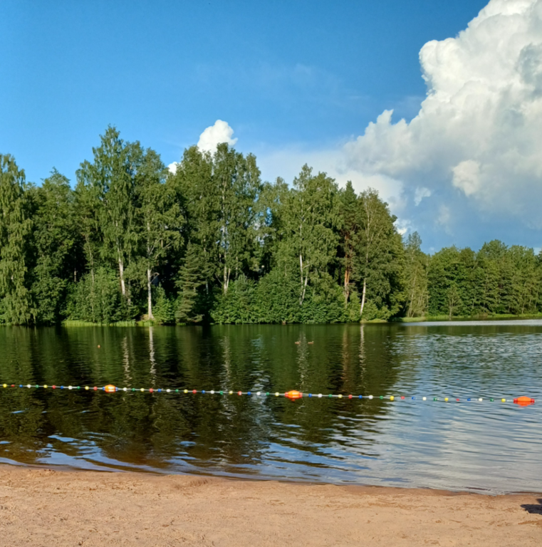 Bergströminlampi (83.016.1.002)-Uimaranta-ObsIMG-202407230941-66a1f490b585e.png