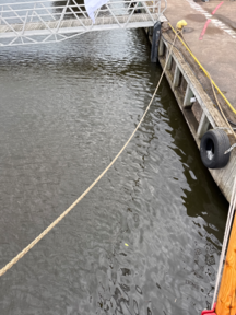 Kotkan edusta, Sunilanlahti-Valtakunnallinen sinileväseuranta (Suomen merimuseo)-ObsIMG-202507031058-1751529606189.png