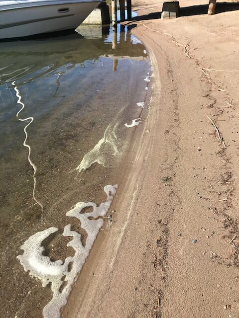 Paraisten sisäsaaristovedet-Rotarien sinileväseuranta (Airisto, Sandviken)-ObsIMG-202006150905-69.jpg