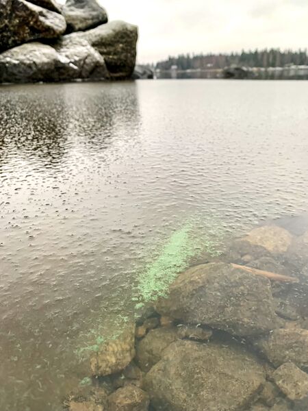 Tiedosto:Replotfjärden-Valtakunnallinen sinileväseuranta (Lilla Tjärubådan)-ObsALG-202012131405-13.jpeg