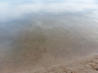 IMG-20260628-WA0000.jpg