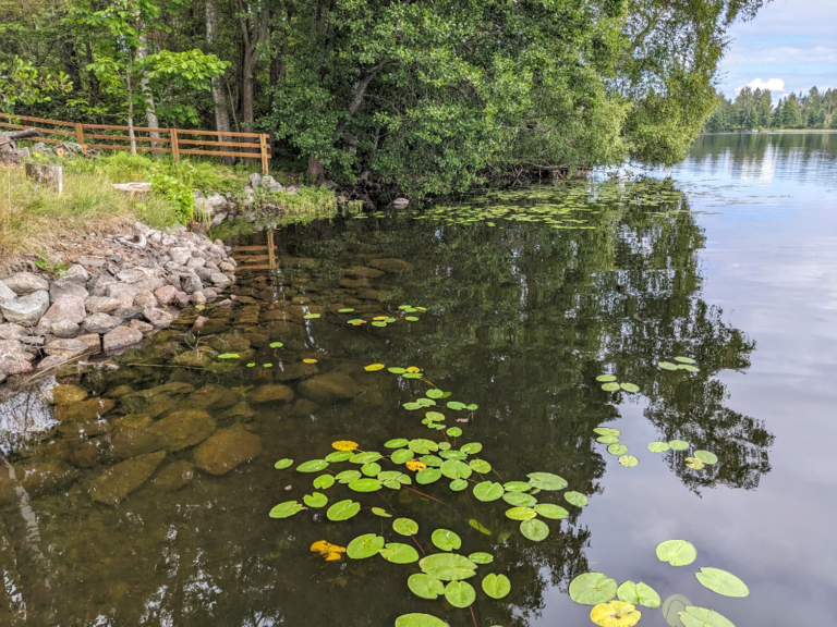 Katumajärvi (35.236.1.001)-Honkapirtti-ObsTEMP-202307261134-64c0edb607f1d.png