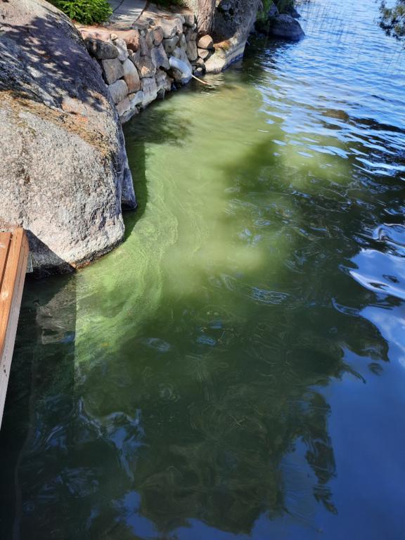 Konnevesi (14.711.1.001)-Rappaatlahti-ObsIMG-202307101045-64ad88682bc87.png