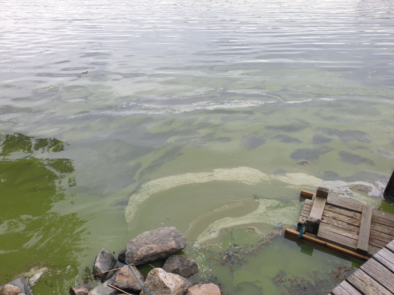 Kustavin pohjoispuolinen ulkosaaristoalue-Vähä-Huukanen 42-ObsIMG-202407251352-66a22f7f25a9f.png