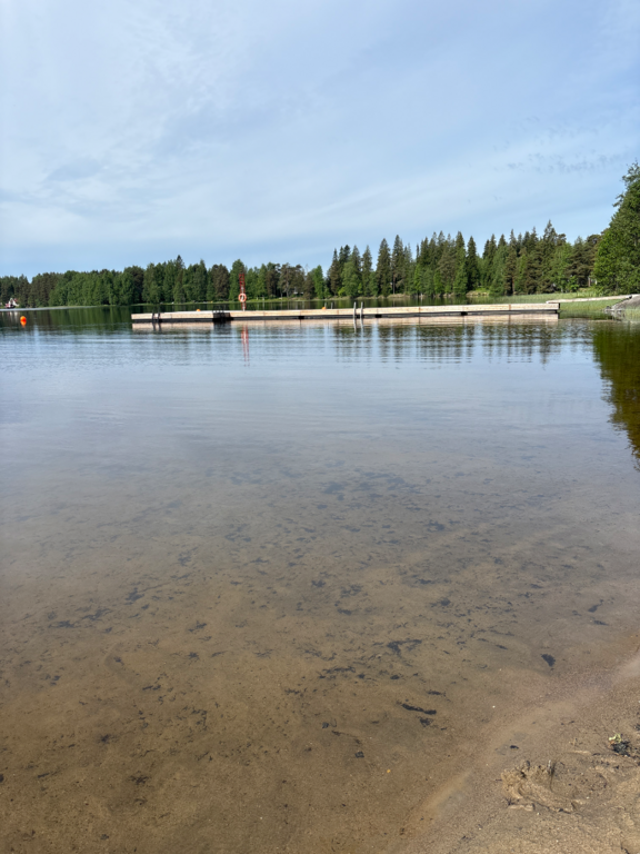Pitkäjärvi (04.152.1.002)-Valtakunnallinen sinileväseuranta (Pitkäjärven uimaranta)-ObsIMG-202606090933-1780986969116.png