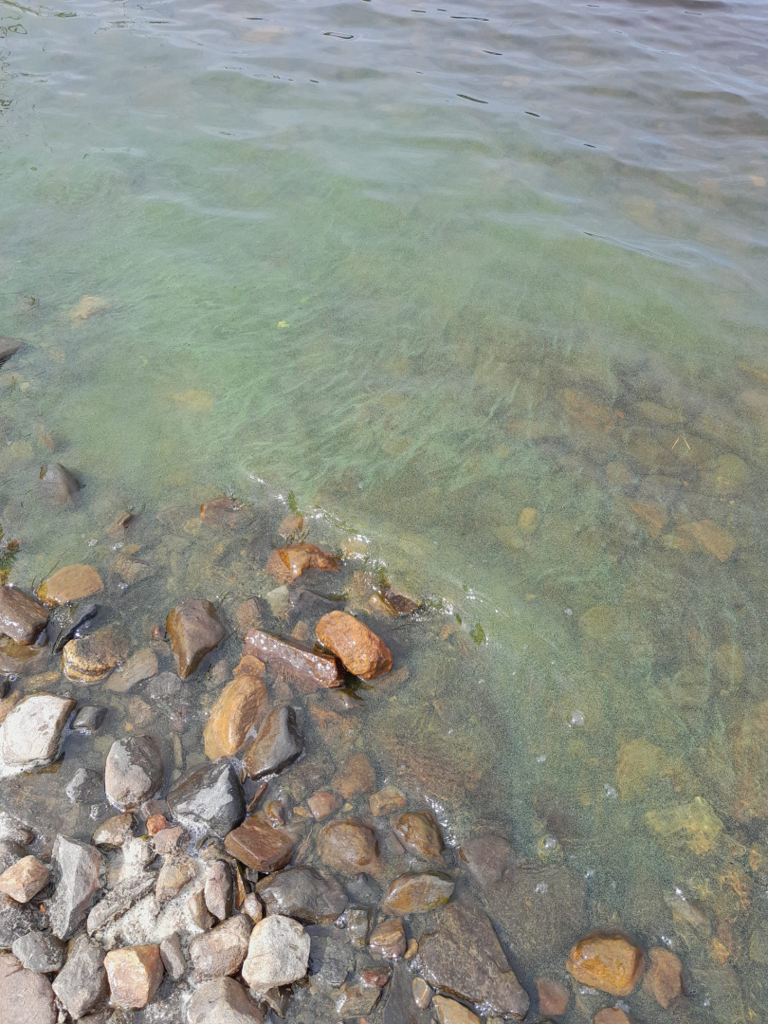 Pyhäselkä (Saimaa) (04.321.1.001)-Pässiniemi, Oravisalo-ObsIMG-202506281534-68657f843a978.png