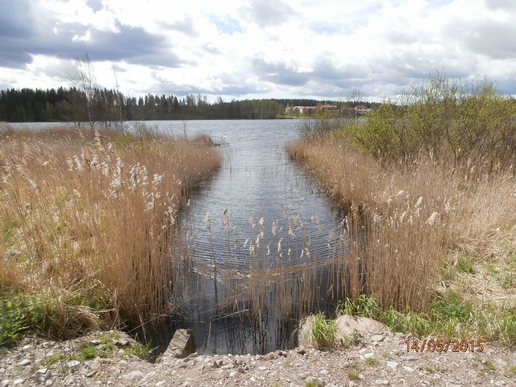 Tuohilammen laskuoja.JPG