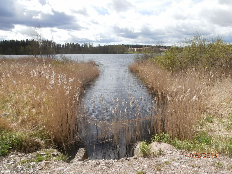 Tiedosto:Tuohilammen laskuoja.JPG