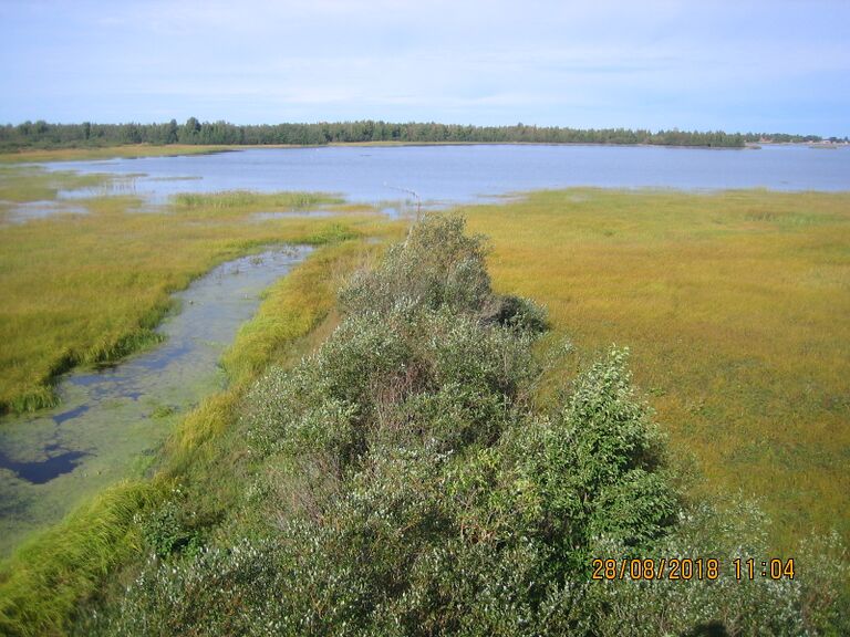 Vihaslahden lintutornista.JPG