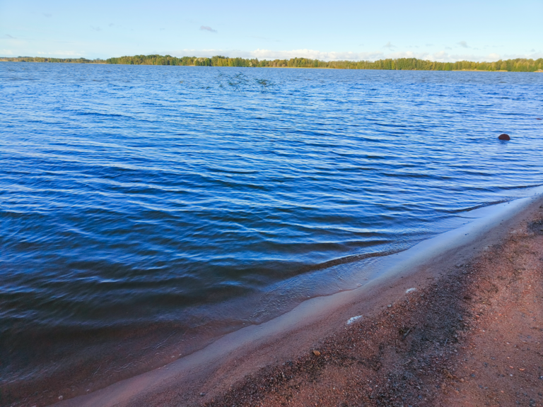 Köyliönjärvi (34.054.1.001)-Valtakunnallinen sinileväseuranta (Yttilän Otta)-ObsALG-202508190834-1755581743490.png