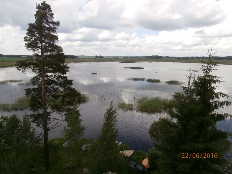 Tiedosto:Kanteleenjarven lintutornista luoteeseen.JPG