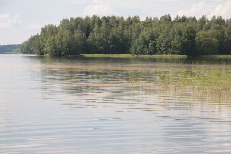 Levälautat 17.7.2014.JPG